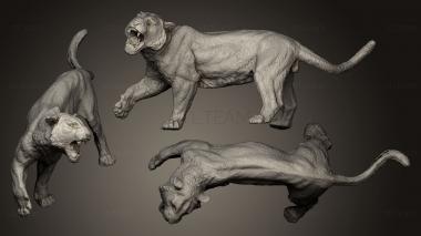 3D model tiger model (STL)